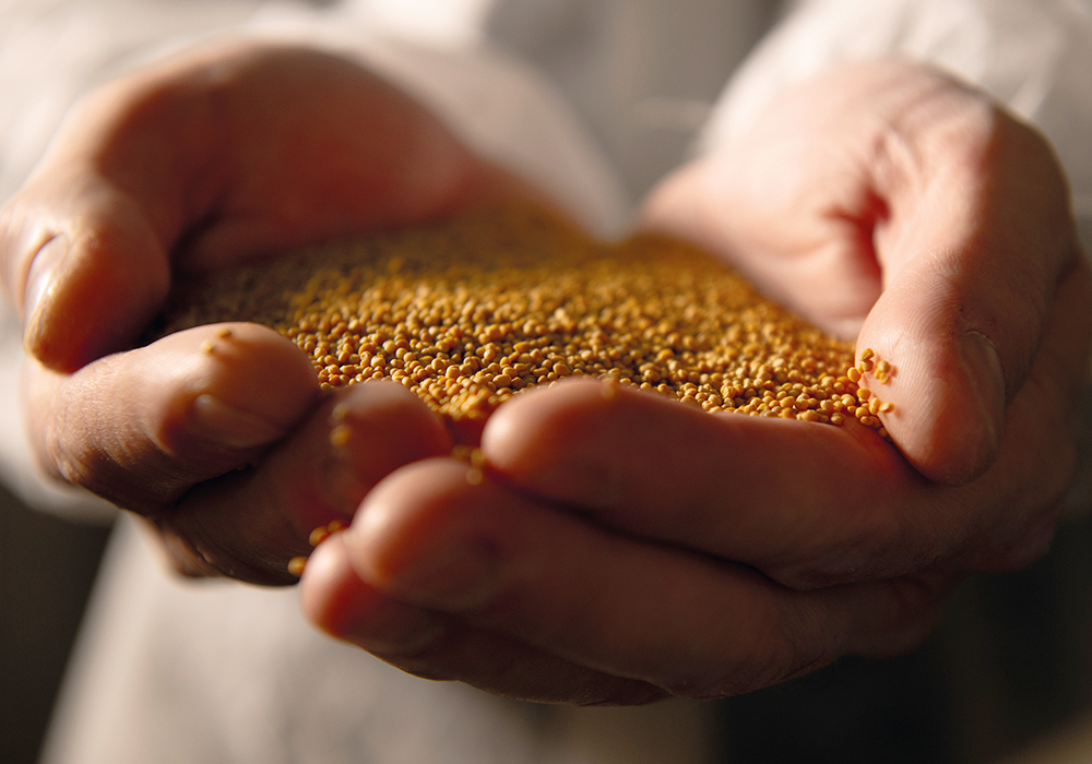 �������� ����