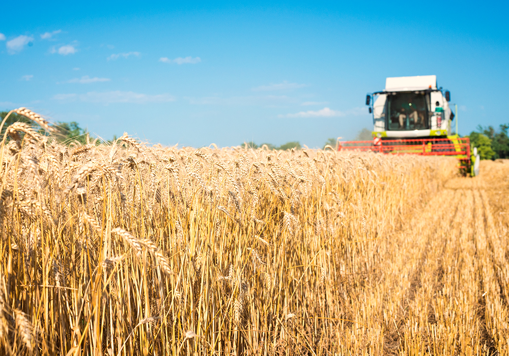 ����� �