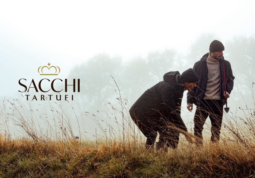 ���� Ʈ����